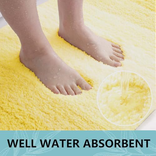 Arotive Microfiber Bathroom Rugs, Shaggy Soft and Absorbent Bath Rug, 24x24