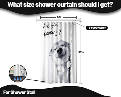 Small Stall Shower Curtain Rv Dog Shiba Inu, 48 x 72 Inchs