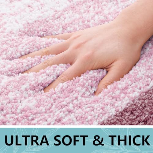 Arotive Microfiber Bathroom Rugs, Shaggy Soft Absorbent Bath Rug, 47x24