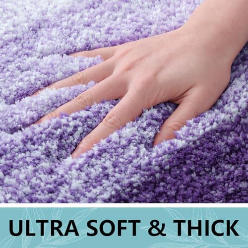 Arotive Microfiber Bathroom Rugs, Shaggy Soft Absorbent Bath Rug, 36x24