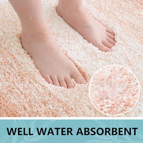 Arotive Microfiber Bathroom Rugs, Shaggy Soft Absorbent Bath Rug, 30x20
