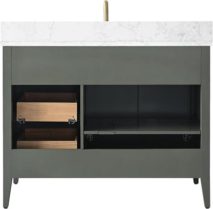 HOMEBEYOND 42" Bathroom Vanity with Sink, Solid Wood Bathroom Vanity Free-Standing Cabinet, Drawers, Ceramic Top & Soft Closing Door, Golden Brushed Handware, Vintage Green