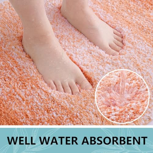 Arotive Microfiber Bathroom Rugs, Shaggy Soft Absorbent Bath Rug, 24x16