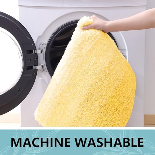 Arotive Microfiber Bathroom Rugs, Shaggy Soft Absorbent Bath Rug, 47x17