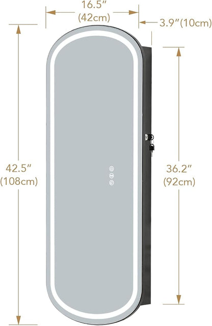 Mirror Jewelry Armoire Cabinet Organizer Wall Mounted Over the Door Black | Full-Length Lockable Rounded Wide Mirror with Storage Interior Mirror Door Mount Adjustable RGB LED Light Gift for Chrismas