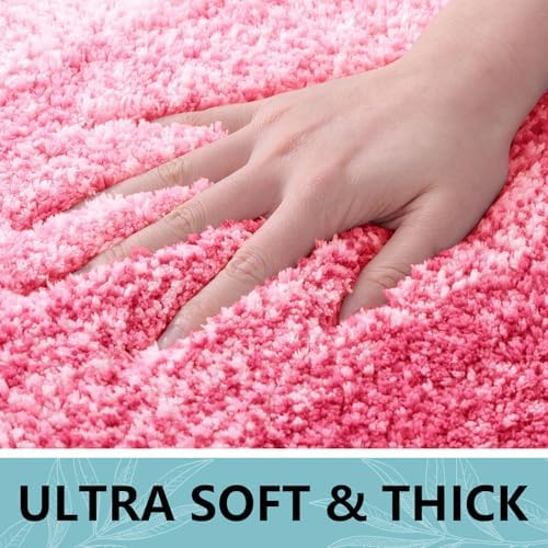 Arotive Microfiber Bathroom Rugs, Shaggy Soft Absorbent Bath Rug, 24x16
