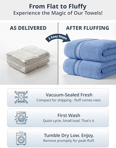 LANE LINEN Bath Sheets Large 100% Cotton 4 Pack Oversized Soft - Allure