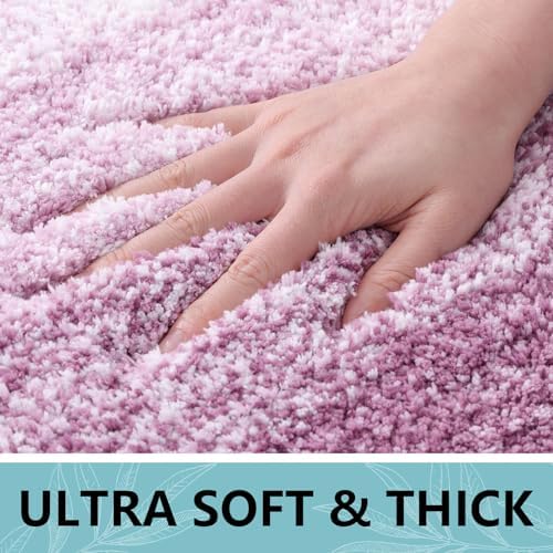 Arotive Microfiber Bathroom Rugs, Shaggy Soft Absorbent Bath Rug, 47x24
