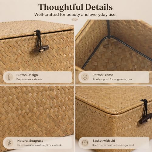 Seagrass Wicker Storage Basket with Lid and Dividers