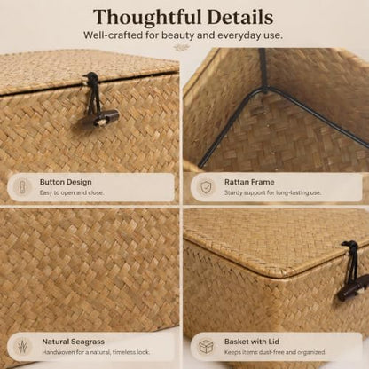 Seagrass Wicker Storage Basket with Lid and Dividers