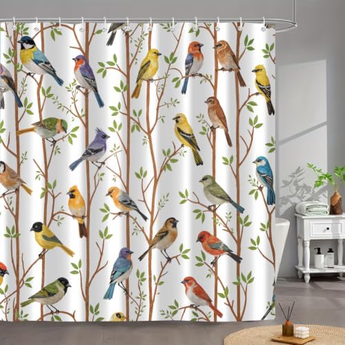 Moonslim Colorful Birds Shower Curtains, Woodland Green Leaves Trees Wildlife Vintage Spring Themed Shower Curtain Set, Fabric Bath Curtain for Bathroom Decor Waterproof Cloth with Hooks 72X72 Inch