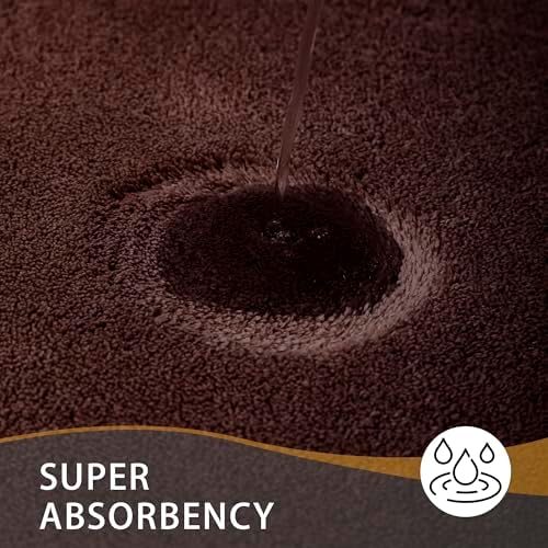 MINIDEAR Bathroom Rugs 24x17 Dark Brown - Thick Memory Foam Bath Mat, Ultra Soft & Plush Fluffy, Non-Slip, Quick Dry, Absorbent Washable Floor Microfiber Mat for Tub, Home Decor Accessories