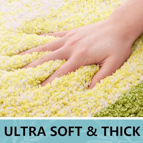 Arotive Microfiber Bathroom Rugs, Shaggy Soft Absorbent Bath Rug, 30x20