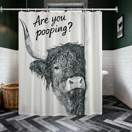 Funny Highland Cow Shower Curtain are You Pooping, 70x72 Inch