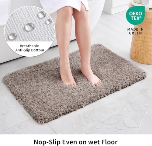 Disolla Taupe Grey Bathroom Rug 17x24 - Non-Slip Plush Small Bath Mat, Highly Absorbent & Ultra Soft Fluffy Floor Mat, Machine Washable for Shower and Tub
