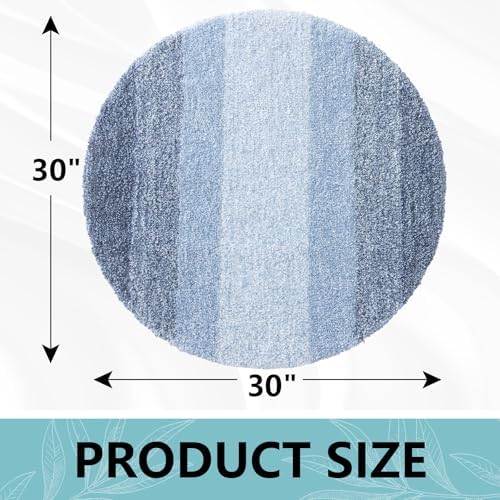 Arotive Microfiber Bathroom Rugs, Shaggy Soft and Absorbent Bath Rug, 30x30