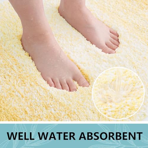 Arotive Microfiber Bathroom Rugs, Shaggy Soft Absorbent Bath Rug, 47x24