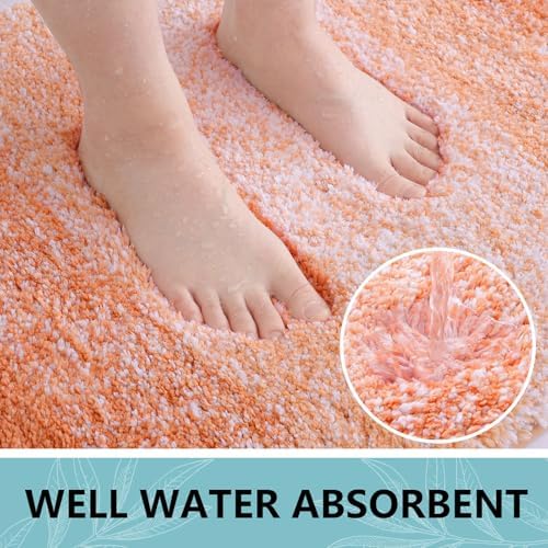 Arotive Microfiber Bathroom Rugs, Shaggy Soft Absorbent Bath Rug, 47x24