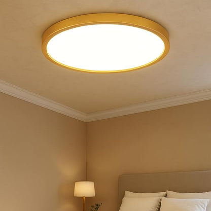 MOONSEA 20 Inch Flush Mount LED Ceiling Light Fixture 42W, 4200LM Dimmable 3000K/4000K/6500K 3 Color Selectable, Low Profile Ceiling Lamp for Kitchen Bedroom Hallway, Gold