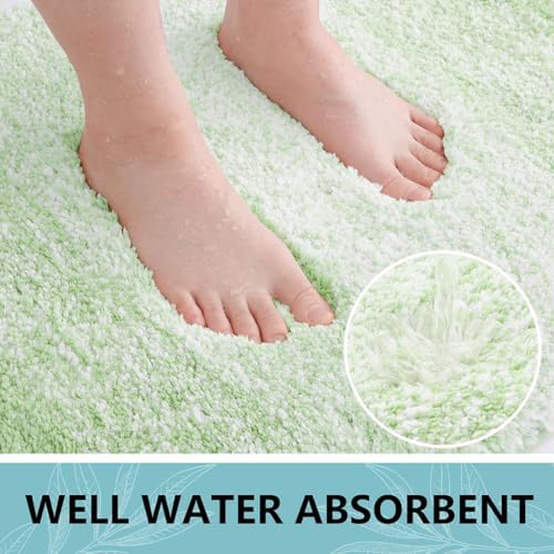 Arotive Microfiber Bathroom Rugs, Shaggy Soft Absorbent Bath Rug, 54x24