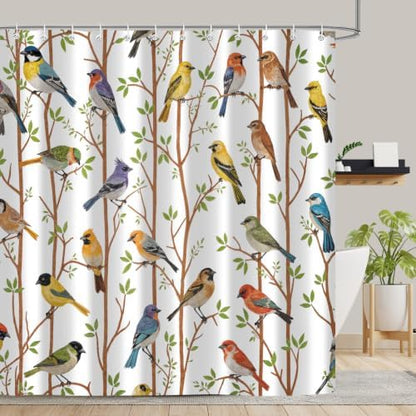 Moonslim Colorful Birds Shower Curtains, Woodland Green Leaves Trees Wildlife Vintage Spring Themed Shower Curtain Set, Fabric Bath Curtain for Bathroom Decor Waterproof Cloth with Hooks 72X72 Inch