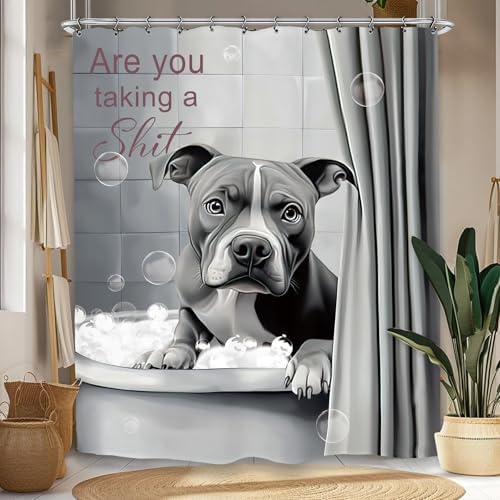 Funny Dog Shower Curtain 60Wx72L Inch Bulldog Hilarious Pet Animal Interesting Cute Bathroom Set Accessories Decor with 12 Pack Hooks