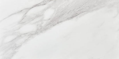 Daltile Perpetuo 12" X 24" Porcelain Marble Look Floor Tile in Polished Brilliant White (9 pieces per carton) (17.01 sqft per carton)