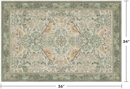 Sage Green Boho Bathroom Rugs - 2x3 Washable Non-Slip Soft Low Pile Area Rug for Entryway, Kitchen, and Decorative Door Mats - Vintage Farmhouse Design with Bird & Botanical Pattern Boho Décor