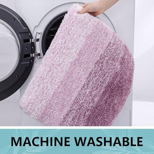 Arotive Microfiber Bathroom Rugs, Shaggy Soft Absorbent Bath Rug, 47x24