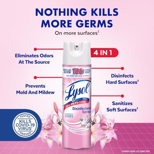 Lysol Disinfectant Spray, Sanitizer, Morning Breeze, 19 oz, 2 Pack
