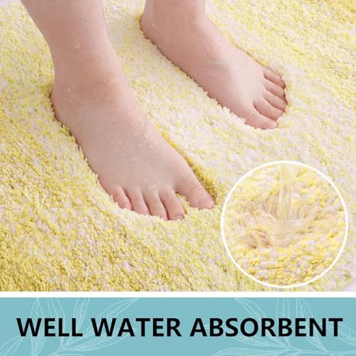 Arotive Microfiber Bathroom Rugs, Shaggy Soft Absorbent Bath Rug, 24x16