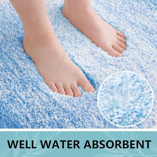 Arotive Microfiber Bathroom Rugs, Shaggy Soft Absorbent Bath Rug, 70x24