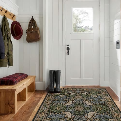 Washable 4x6 Area Rug for Living Room - Soft Moody Rug for Kitchen, Office, Large Entryway, Rustic Botanical Decor, Non-Slip Low Pile Dark Green and Brown Ultra Soft Bird Carpet
