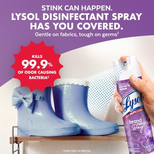 Lysol Disinfectant Spray, Sanitizer, Lavender, 19 oz, 2 Pack