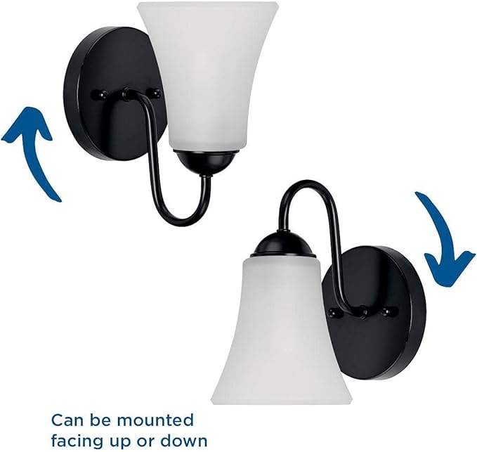 Progress Lighting Classic Collection 1-Light Etched Glass Traditional Bath Vanity Light Matte Black