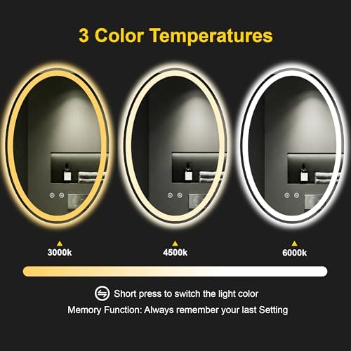 Oval LED Bathroom Mirror with Lights, 20 x 28 Inch Lighted Vanity Mirror
