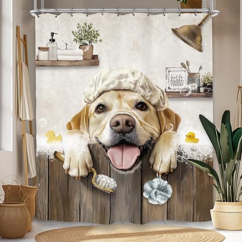 Funny Dog Farmhouse Shower Curtain 60Wx72L Inch Rustic Hilarious Labrador Pet Animal Country Bathroom Set Accessories Decor with 12 Pack Hooks