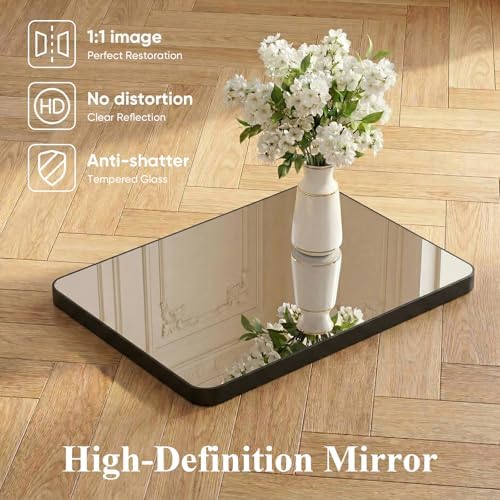 Sweetcrispy Bathroom Wall Mirror, Vanity Mirror for Over Sink, 30x48 Inch