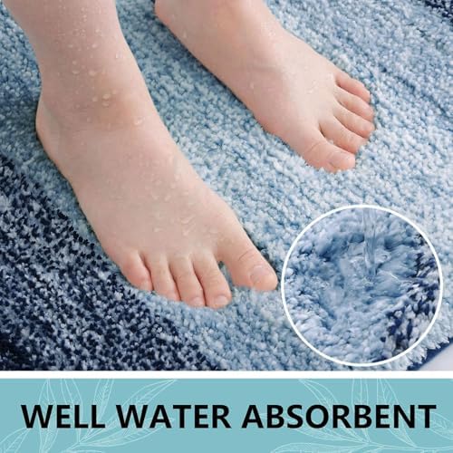 Arotive Microfiber Bathroom Rugs, Shaggy Soft Absorbent Bath Rug, 30x20