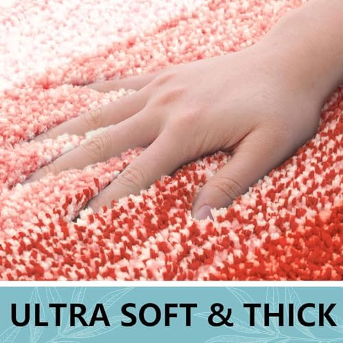Arotive Microfiber Bathroom Rugs, Shaggy Soft Absorbent Bath Rug, 30x20