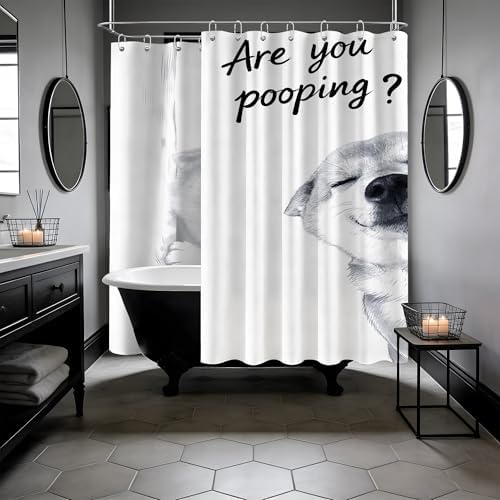 Extra Long Shower Curtain XL Funny Dog Crazy, 108 x 72 Inchs