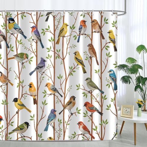 Moonslim Colorful Birds Shower Curtains, Woodland Green Leaves Trees Wildlife Vintage Spring Themed Shower Curtain Set, Fabric Bath Curtain for Bathroom Decor Waterproof Cloth with Hooks 72X72 Inch