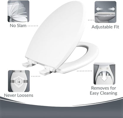 Mayfair Cassel Bidet Bundle, Slow-Close Never Loosen Toilet Seat with Perfect Fit, Fresh Water Spray, Non-Electric, Easy to Install Bidet, ROUND, White
