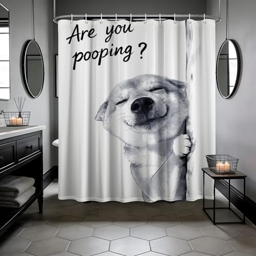 Funny Dog Shower Curtain Cool Shiba Inu, 60x72 Inchs