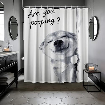Funny Dog Shower Curtain Cool Shiba Inu, 60x72 Inchs