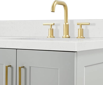 ARIEL Taylor 66-inch Bathroom Vanity with Sink,Solid Wood, 1.5-inch Carrara White Quartz Countertop & Backsplash, Double Rectangular Porcelain Sink, 4 Soft Closing Doors, 5 Dovetail Drawers, Grey
