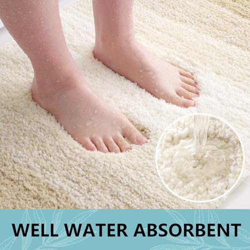 Arotive Microfiber Bathroom Rugs, Shaggy Soft Absorbent Bath Rug, 34x21