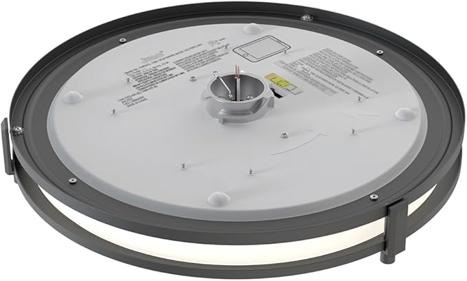 Juno Saturn Flush Mount Ceiling Light with Switchable Color Temperature (2700K-5000K), 13-Inch, Matte Black