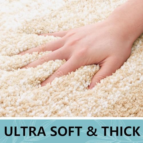 Arotive Microfiber Bathroom Rugs, Shaggy Soft Absorbent Bath Rug, 24x16