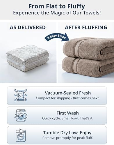 LANE LINEN Large Bath Sheets Oversized Soft Absorbent 4 Pack - Platinum